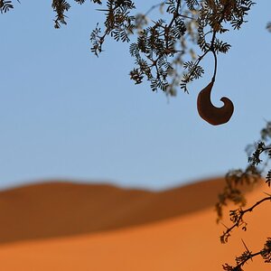 Sossusvlei, Namibia
