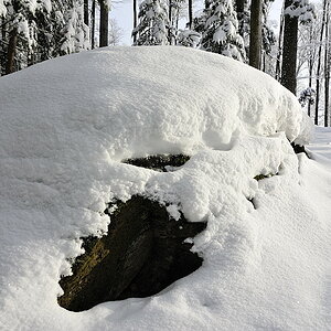 Felsen im Bay. Wald