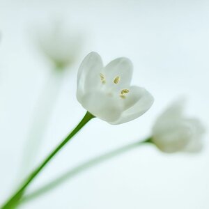 best of five 002 2010