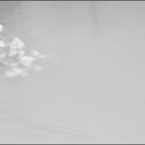 WasserDSC 8509