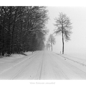 Nikon F100, Ilford FP4, Nikkor AF 28-70D 3.5-4.5