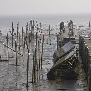 Westerland 2010 063