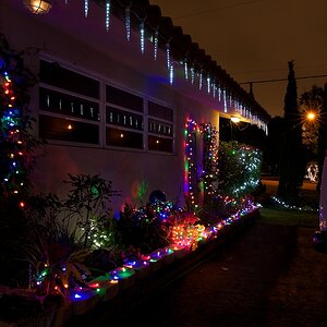 20101219 0023