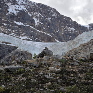 DSC5105 NF-F
Angel Glacier
Jasper NP, Kanada