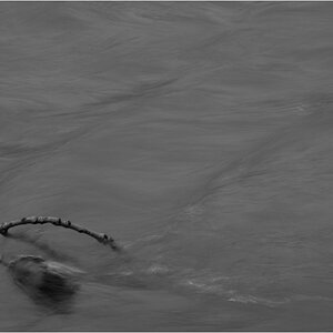 WasserDSC 0119