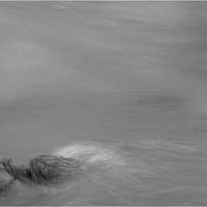 WasserDSC 0121