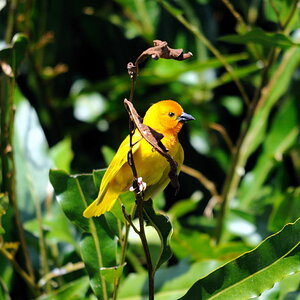Kenia 12/2010 01