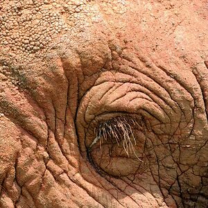Kenia 12/2010 02