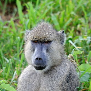 Kenia 12/2010 05