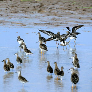 Kenia 12/2010 06