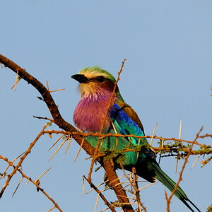 Kenia 12/2010 07