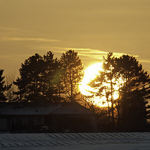 sonne