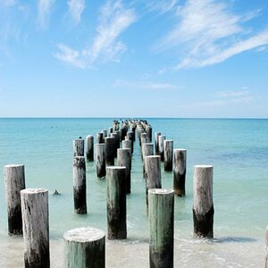 Naples/Florida Strand