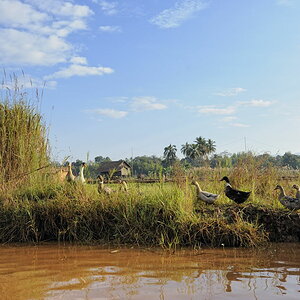 Inle-See