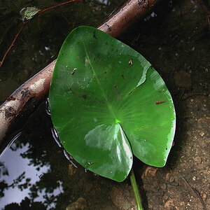DSCN0001