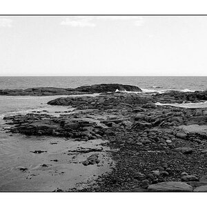 Saddle Island