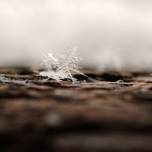 Compressed 0063