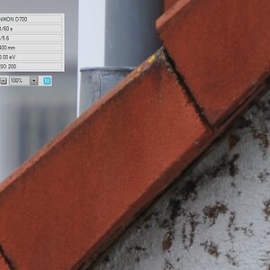 70-200 VR II mit TC2 III bei f=5.6 1:1 Crop
