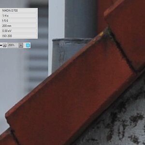 70-200 VRII f=5.6 1/4 sec 200% Crop
