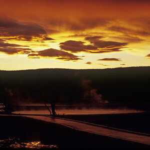 NFF 004 YELLOWSTONE