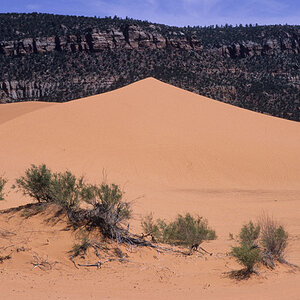 NFF 005 CORAL SAND DUNES