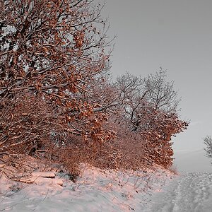 Blau-Braun 2