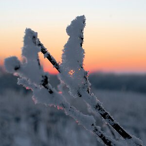 Schneeast neu