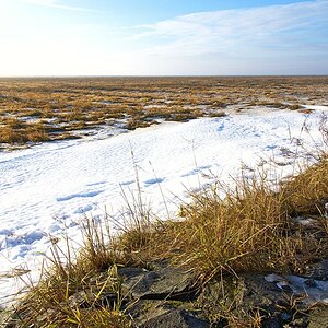 Testfoto RAW