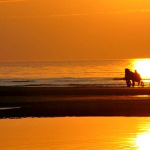 DSC 5004 1
Sonnenuntergang am Strand von De Haan