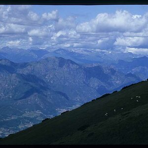 wolken und schafe
