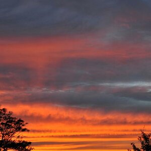 DSC 5194 1
Sonnenuntergang (aus dem Dachfenster gesehen )