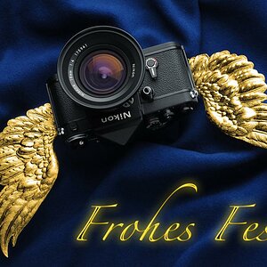 F2 T fest 2w