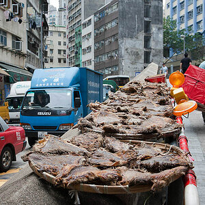 hong kong 25