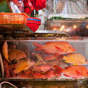 hong kong 34