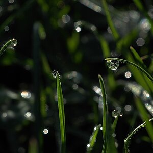 Compressed 0129