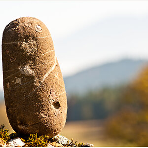 Herbststein