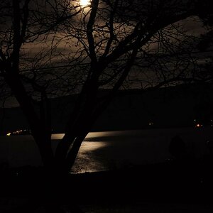 Mond