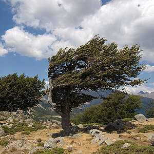 DSC 6563 Col de St. Pierre 900