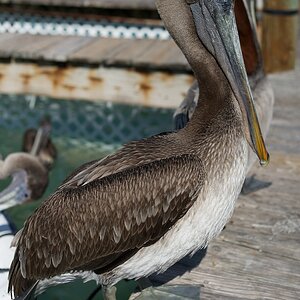 20110113 0164