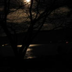 Mond2