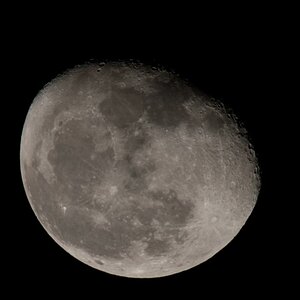 Aufgenommen mit D300s, Sigma 150-500mm @ 500mm, IS0 200, 1/125s, f11