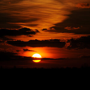 sonne2011