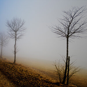 20110210 DSC 5911 Bearbeitet 1