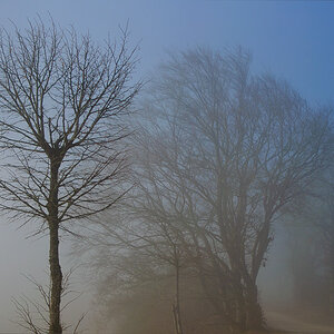 20110210 DSC 5913 Bearbeitet 2