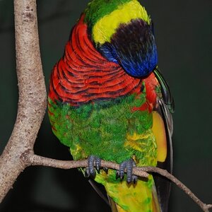 DSC 0976