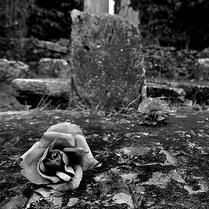 DSC 4209 copy edited 1