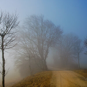 Landschaft Nebel (2 von 1)