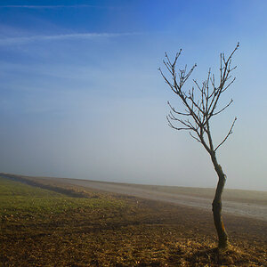 20110210 DSC 5900 Bearbeitet 1