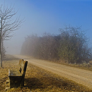 20110210 DSC 5919 Bearbeitet 1