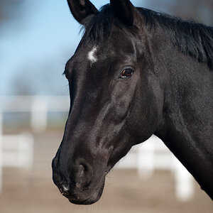 20110307 DSC 0050